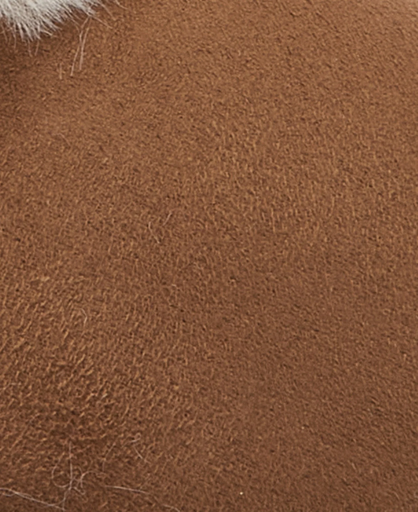 Barbour Eloise Bootie Slipper Camel - Image 6
