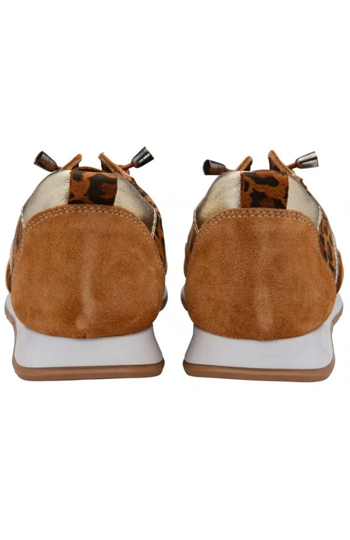 Lotus Shoes Lola Leopard Print Trianers - Image 4