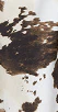 Summum Woman Cow Print Twill Trousers - Image 8